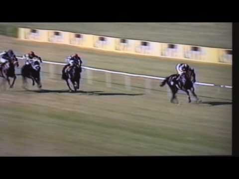 Nagroda Haracza - 7.06.2003 - Tim (Saphir - Tess)