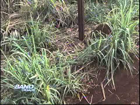 Band Cidade Campinas 22 10 2012 - bloco 02