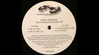 Raffa (Raffaele Scoccia) – The Hammondology EP - Testimonial Records – TR 005 (2004)