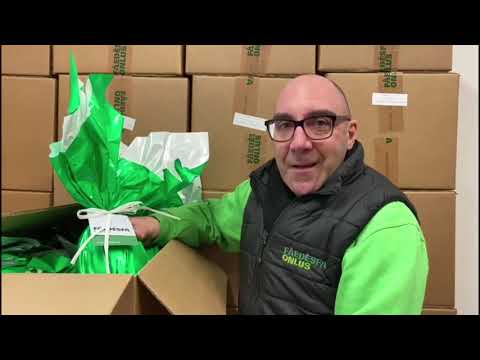 UOVA DA NON SPRECARE