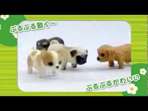 ♪じゃれじゃれいぬいぬ♪