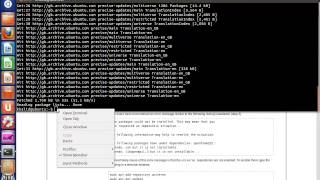 Download the video "Installing OpenFOAM 2.2.2 Using Ubuntu Deb Installation Pack"