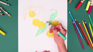 Crayola Limited Edition Crayons and Markers Segment