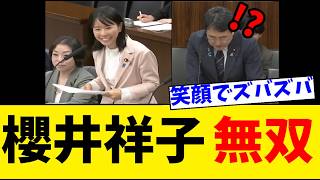 参政党・櫻井祥子「すいません気になったものでｗ」➡大臣を完全に黙らせてしまう 脱炭素6兆円の効果