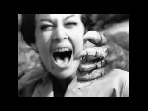 Z30,5 Kamp – Frank Out