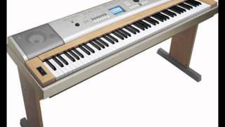 Church In The Wildwood