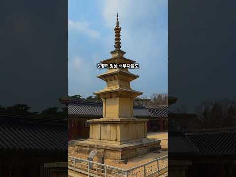 [POST APEC] 경주, 지금 가장 뜨거운 이유✨