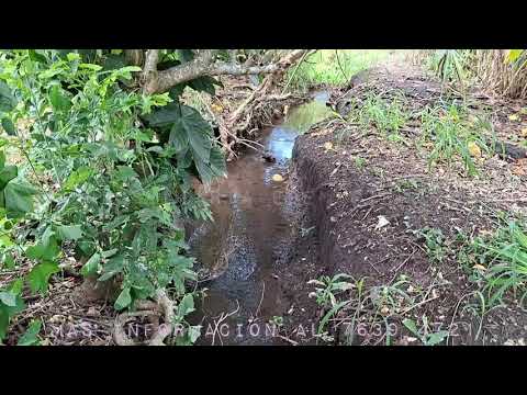 Terreno 6.5 mz con regadío, Cantón Alemán, Nahuilingo, Sonsonate. Mas información al 7639 4721