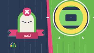 صورة المحاضرة 6 - التفسير - المستوى الرابع - د. سلطان العتيبي - تفسير سورة البينة (4:1)