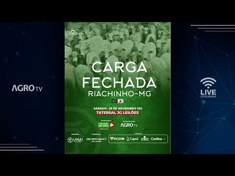 LEILÃO CARGA FECHADA DA UNAÍ LEILÕES EM RIACHINHO - MG - 29/11/2025