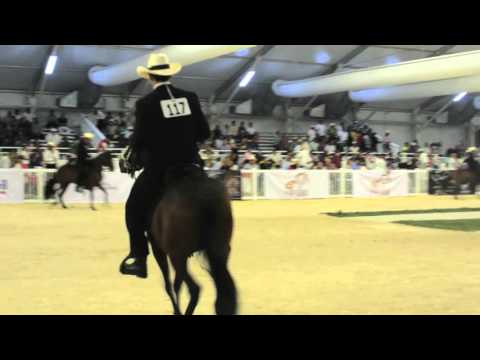 Rapunzel de HR Mundial 2015