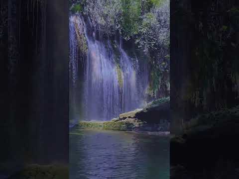 A River Never Forgets II #rivermemories #neverforget #mindfulreflection #watermeditation #shorts