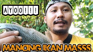 Download lagu MANCING IKAN MAS | MANCING IKAN TOMBRO | MANCING IKAN NILA mp3 Download lagu MANCING IKAN MAS | MANCING IKAN TOMBRO | MANCING IKAN NILA mp3