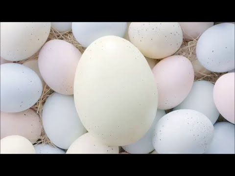 #Cutecate//Aricdharmesh//