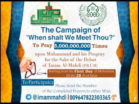⁣The Campaign of 