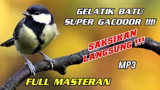Download lagu Full masteran suara burung gelatik batu Suara terapi air mengalir mp3 Download lagu Full masteran suara burung gelatik batu Suara terapi air mengalir mp3