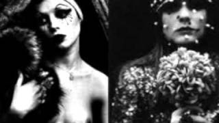 The Creatures  Vinus In Furs