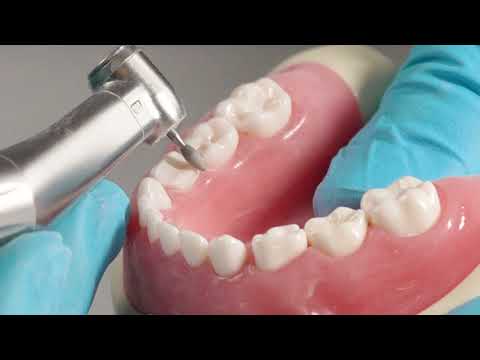 BioFlx Prep Tutorial