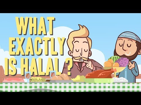 What Exactly Is Halal? - Mufti Menk