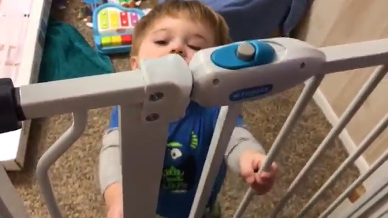 Regalo Extra Tall Safety Gate