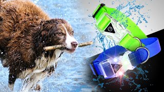Waterproof Light Up Collar with AirTag Holder | Dogaloo Australia
