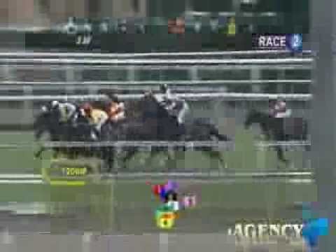 SINGAPORE RACE 17/11/2013 RACE 2 - iAgencyNet.com