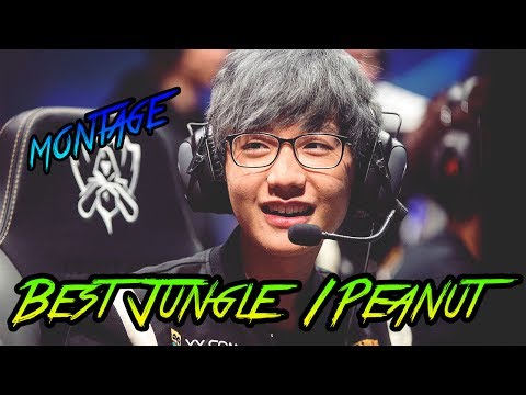 Best Jungle | Peanut | Montage