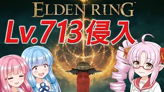 レベル713で侵入 DLC【EldenRing】