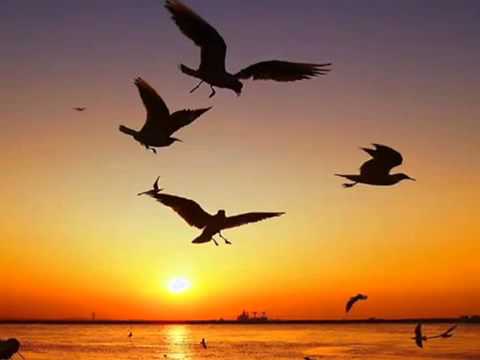 CAN ATİLLA Rumeli Hisarı nın Yapılışı