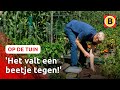 Aardappels oogsten in tropische temperaturen | Op de tuin