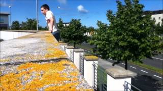 preview picture of video 'Greystones Parkour   Cathan Timmons Mk II'