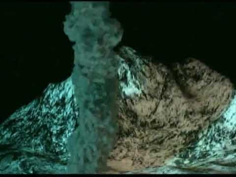 90. Cat Soup Instagram Video - Untitled [15.01.2020]