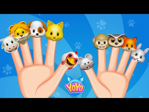 Kedi Parmak Miyav | Kedi Parmak Nerdesin? | Parmak Ailesi Hayvanlar - Eğlenceli Çocuk Şarkısı