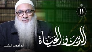 صورة الصديق ودوره في الحياة 2 | الدين والحياة | الدكتور أحمد النقيب | ح 11