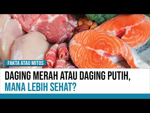 , title : 'Mana yang Lebih Sehat, Daging Merah atau Daging Putih? | Fakta atau Mitos'