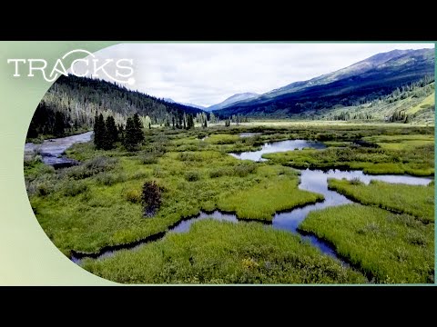 Exploring The Waterways And Glaciers Of British Columbia | Uncharted Canada | TRACKS