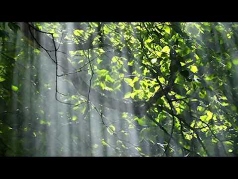 Grupul barbatesc Betleem Londra - Eden