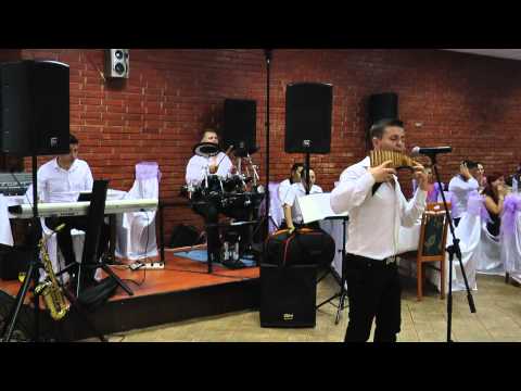 Ovidiu Taran - live la nunta (nai)