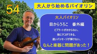 「大人のバイオリン初心者、初級者」上達のコツと練習法54 目からうろこ 番外編 #バイオリン初級者 #ヴァイオリン肩当て #打弦 #バイオリン持ち方