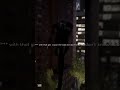 Kanii 9lives Go Xtayalive 2 Slowed Reverb Lyrics