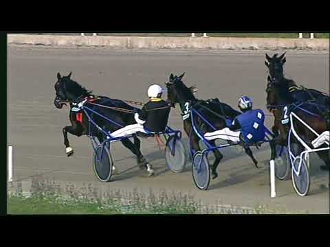 Napoli Trotto 13/11/2022 - 4ª corsa