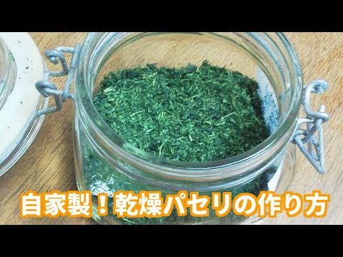 パセリの乾燥: 実践的なヒント 植物