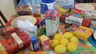 Friday Walmart grocery haul /  infused water