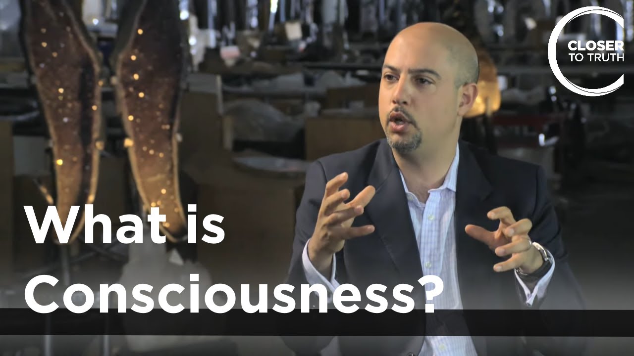 Sam Parnia - What is Consciousness?