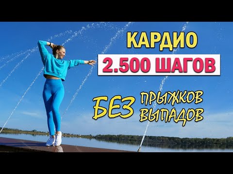 КАРДИО ТРЕНИРОВКА 2.500 ШАГОВ | Natinfitness