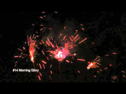 #14 Morning Glory Sparklers
