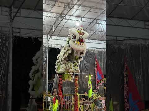 新加坡騰義體育會 Singapore Teng Ghee Athletic Association   2025第二届南仙坛杯新马高樁舞狮邀请賽