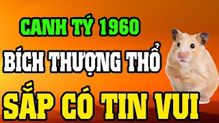 Tuổi Canh Tý 1960 Là Người Có Phúc Có Phần, Về Già Hưởng Lộc Tổ Tiên Nếu Biết Sớm 8 Điều Này