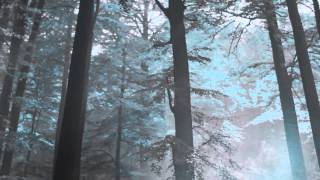 Mexicans With Guns - Jaguar