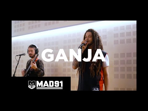 BAINO DI LION & BUBBLING SOCIETY | GANJA | Live Session